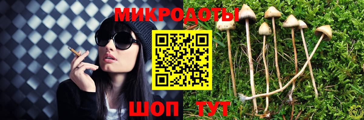 Острогожск  как найти   Вход с VPN  Галлюциногенные грибы ЛСД 